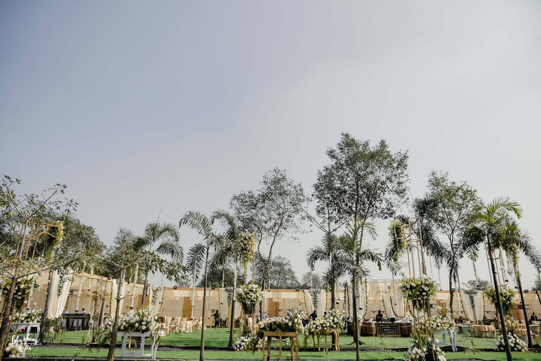 Palm-Lined Lawn