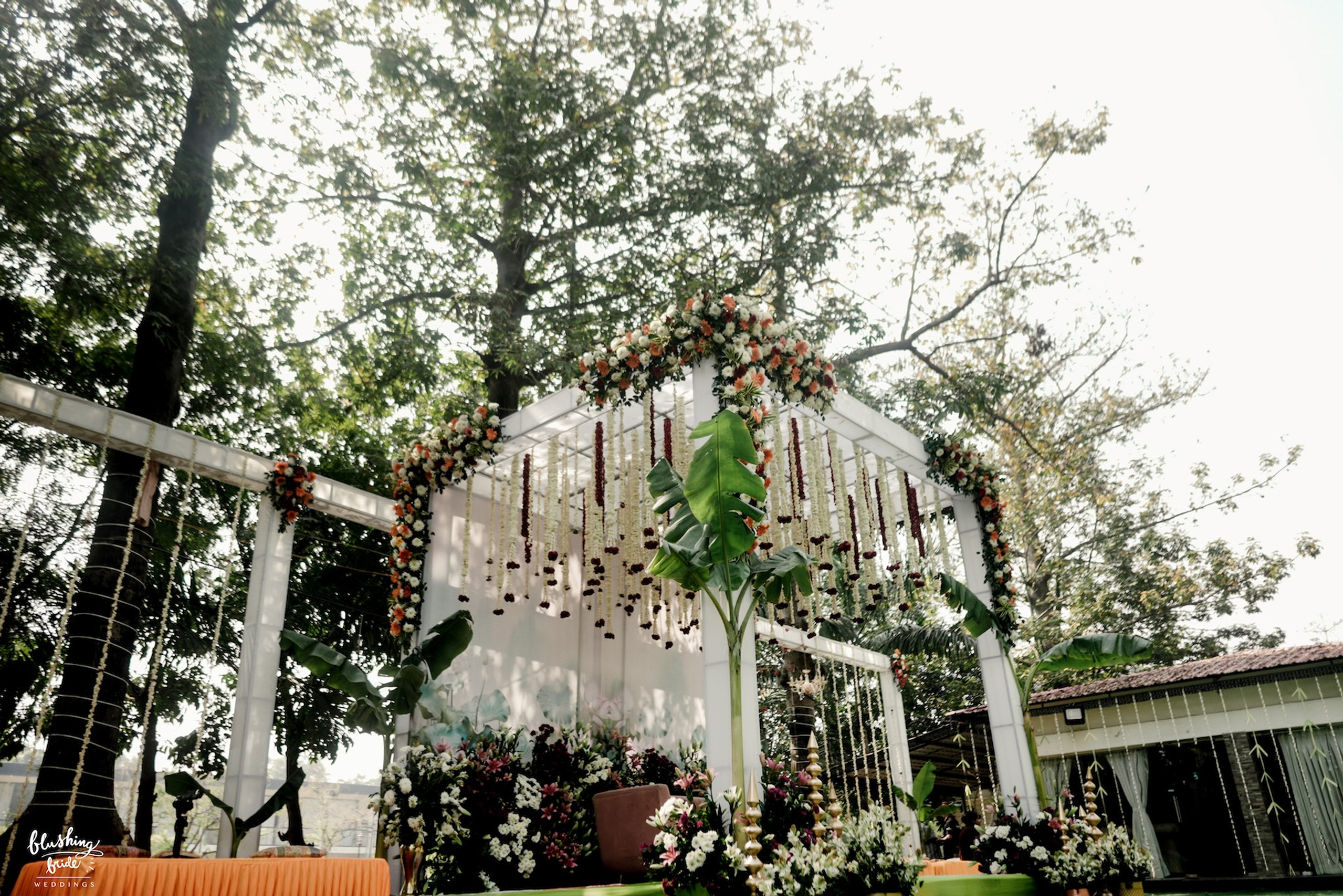 Daylight Stage